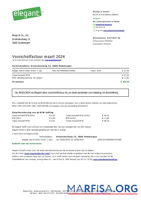 Printable Belgium Elegant business utility bill Word and PDF template